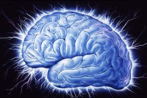 نابودی سلولهای مغز با استفاده افراطی از اینترن