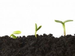 بهبود فرآیند کسب و کار