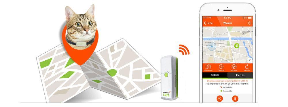 تلفن همراه برای گربهها!2