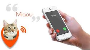 تلفن همراه برای گربهها!3