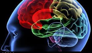 چگونگی کنترل افکار توسط مغز