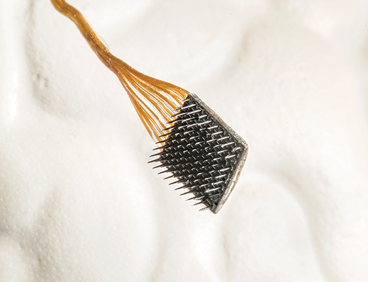 افراد فلج و استفاده مجدد از عضو