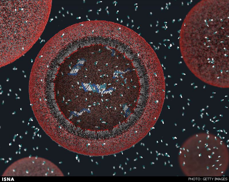 ساخت سلولهای مصنوعی