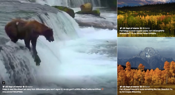 امکان پست توئیت های مجموعه ای