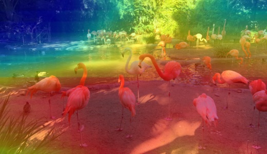 عکستان چقدر بیاد ماندنی است