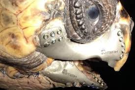 چاپگر سه بعدی ناجی حیوانات3