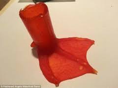 چاپگر سه بعدی ناجی حیوانات4