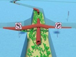 ابر رایانه های زیستی