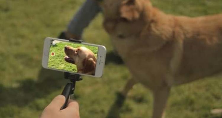 پایه عکاسی ضد لرزش