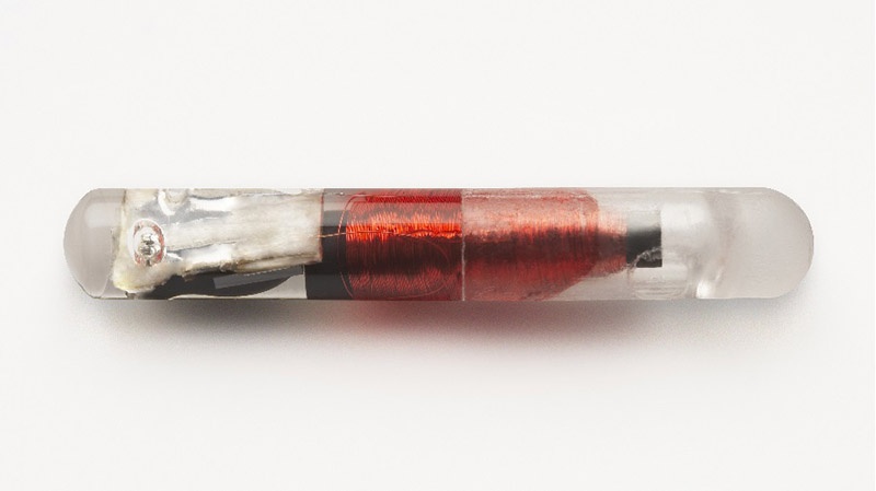 كاشتني هاي هوشمند