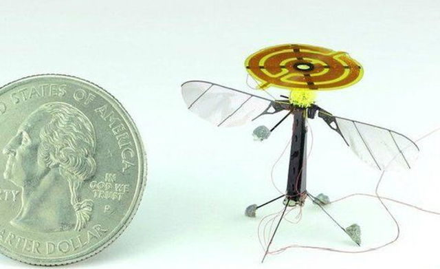 زنبور رباتیک مینیاتوری