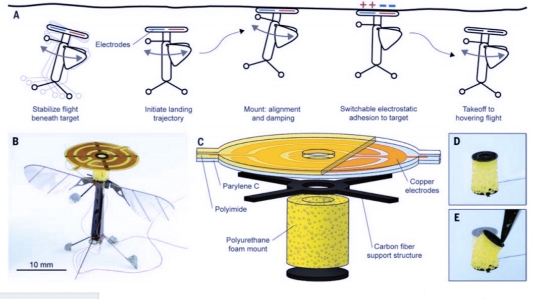 زنبور رباتیک 2