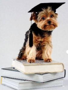 دستگاه تربیت کننده سگ