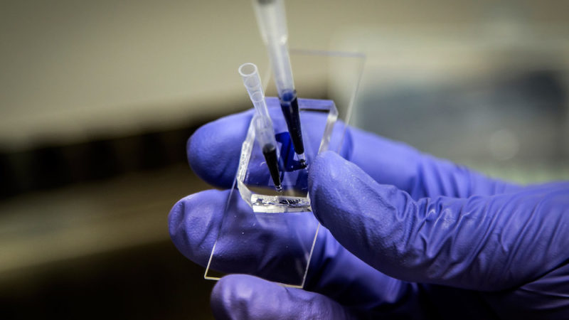 کاهش عوارض جانبی داروها با میکروچیپ