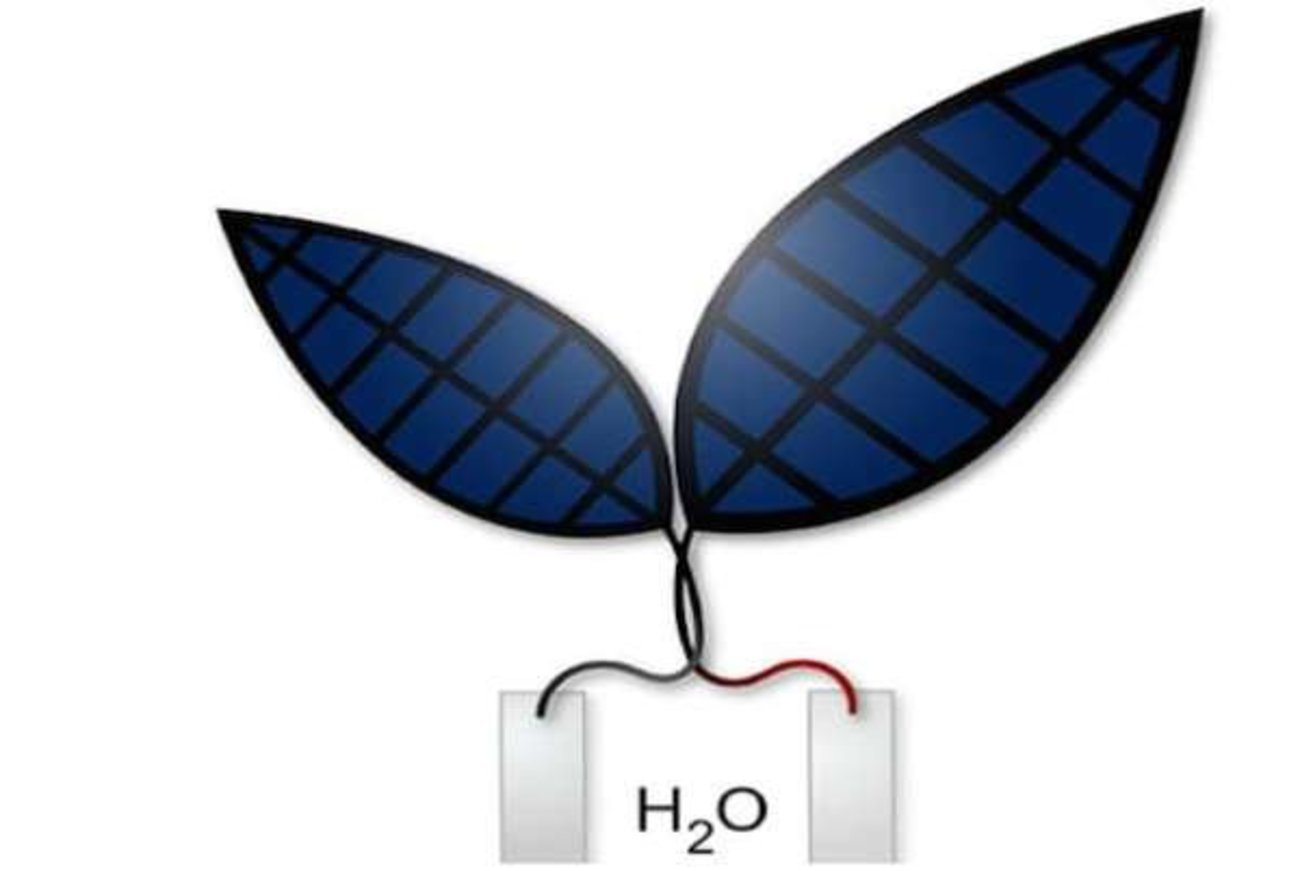 ساخت برگ مصنوعي پيشرفته