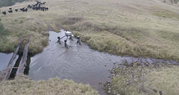 روبات گاوچران