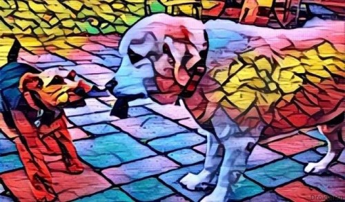 فیلترینگ تصویرها با اپلیکیشن آرتیستو