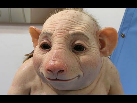 موجود هیبریدی به نام chimeras