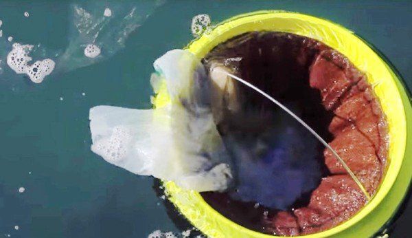 سطل زباله ای برای اقیانوسها
