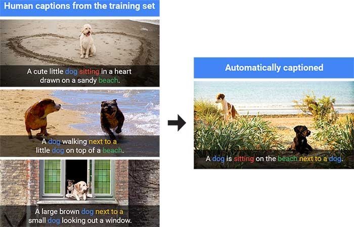 سامانه Show and Tell گوگل