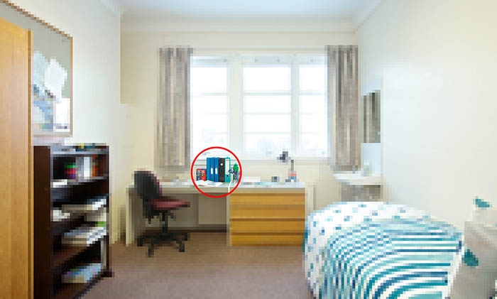 شناسایی مجرمان از عکس منتشر شده