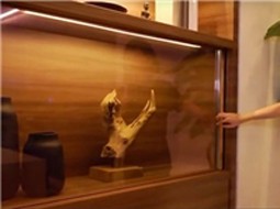 تلویزیون نامرئی کمپانی پاناسونیک