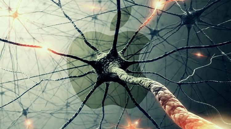 با مغز مصنوعی پنهان اپل آشنا سوید