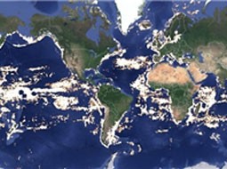 برج زباله به جای برج ترامپ