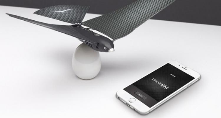 بهپادی شبیه پرنده