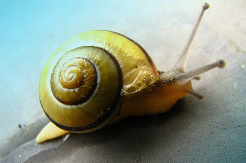 علت پنهان کاهش سرعت اینترنت