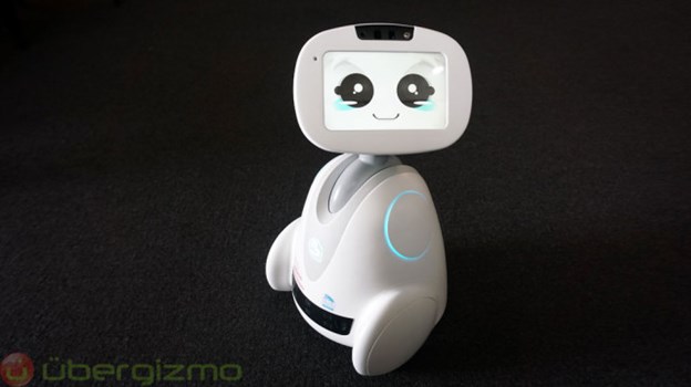 ازدواج ربات ها با انسان