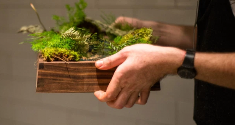 آی پد به جای بشقاب