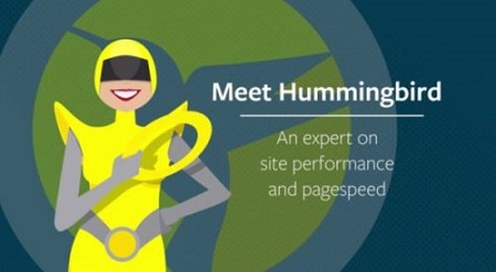 افزونه Hummingbird Pro افزایش سرعت سایت وردپرس