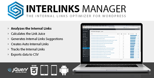 افزونه مدیریت و ایجاد لینک داخلی وردپرس Interlinks Manager